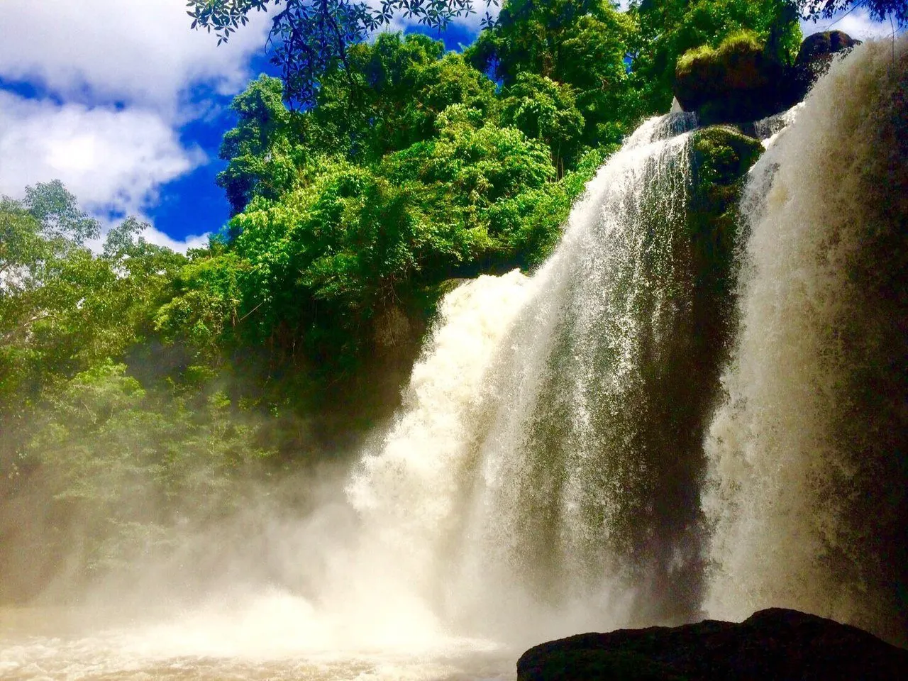 Khao Yai National Park Waterfalls Day Trip from Pattaya