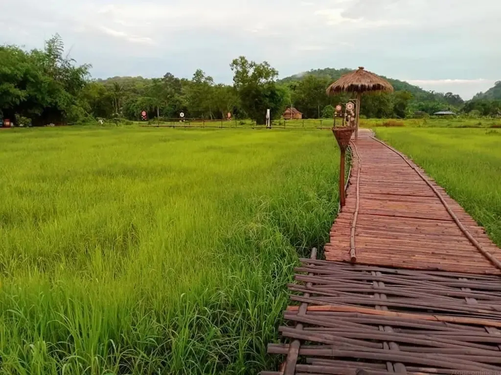 Nakhon Nayok Day Trip: King's Dam and Sarika Waterfall