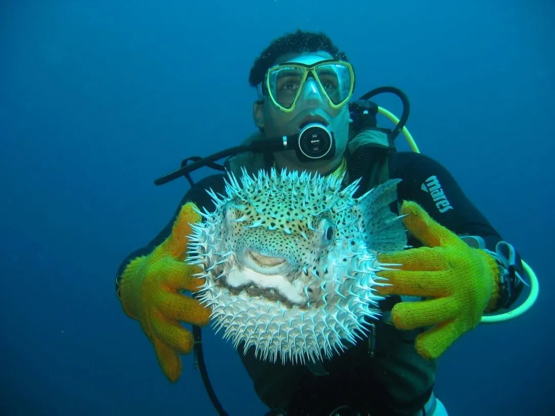 Diving in kusadasi