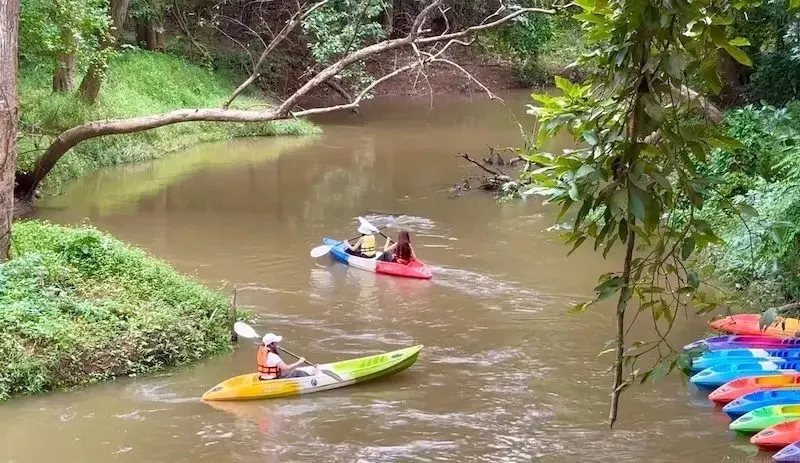Khao Yai National Park Waterfalls Day Trip from Pattaya