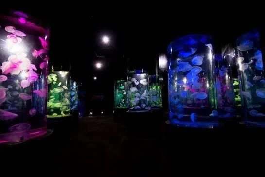 Underwater World Pattaya Aquarium Tour with Hotel Transfer