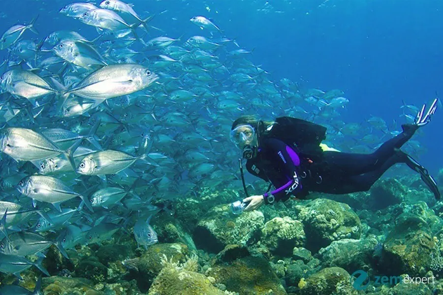 Bodrum diving
