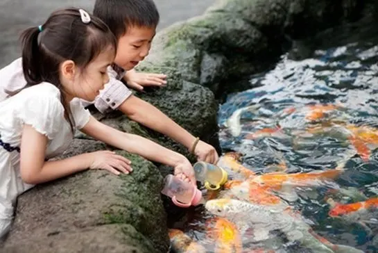 Underwater World Pattaya Aquarium Tour with Hotel Transfer