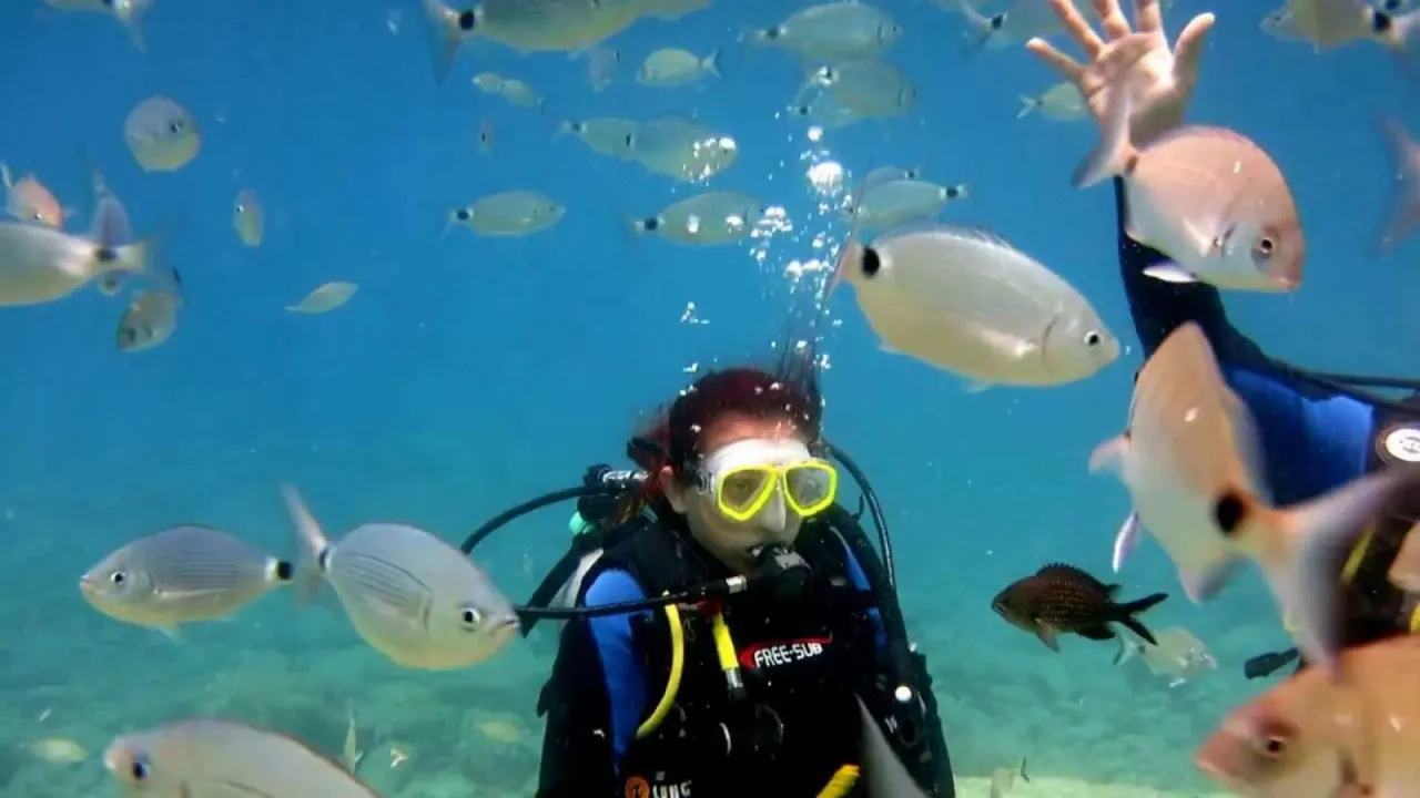 Diving in marmaris
