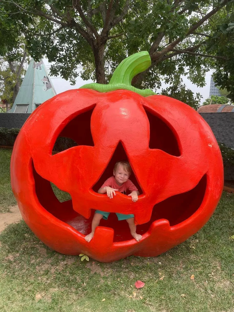 Pattaya Kids Tour: Dolphin Show, Pony Club and Monster Aquarium