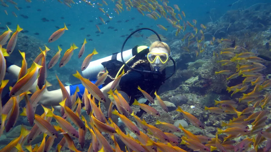 Phuket Scuba Diving Trip in the Andaman Sea
