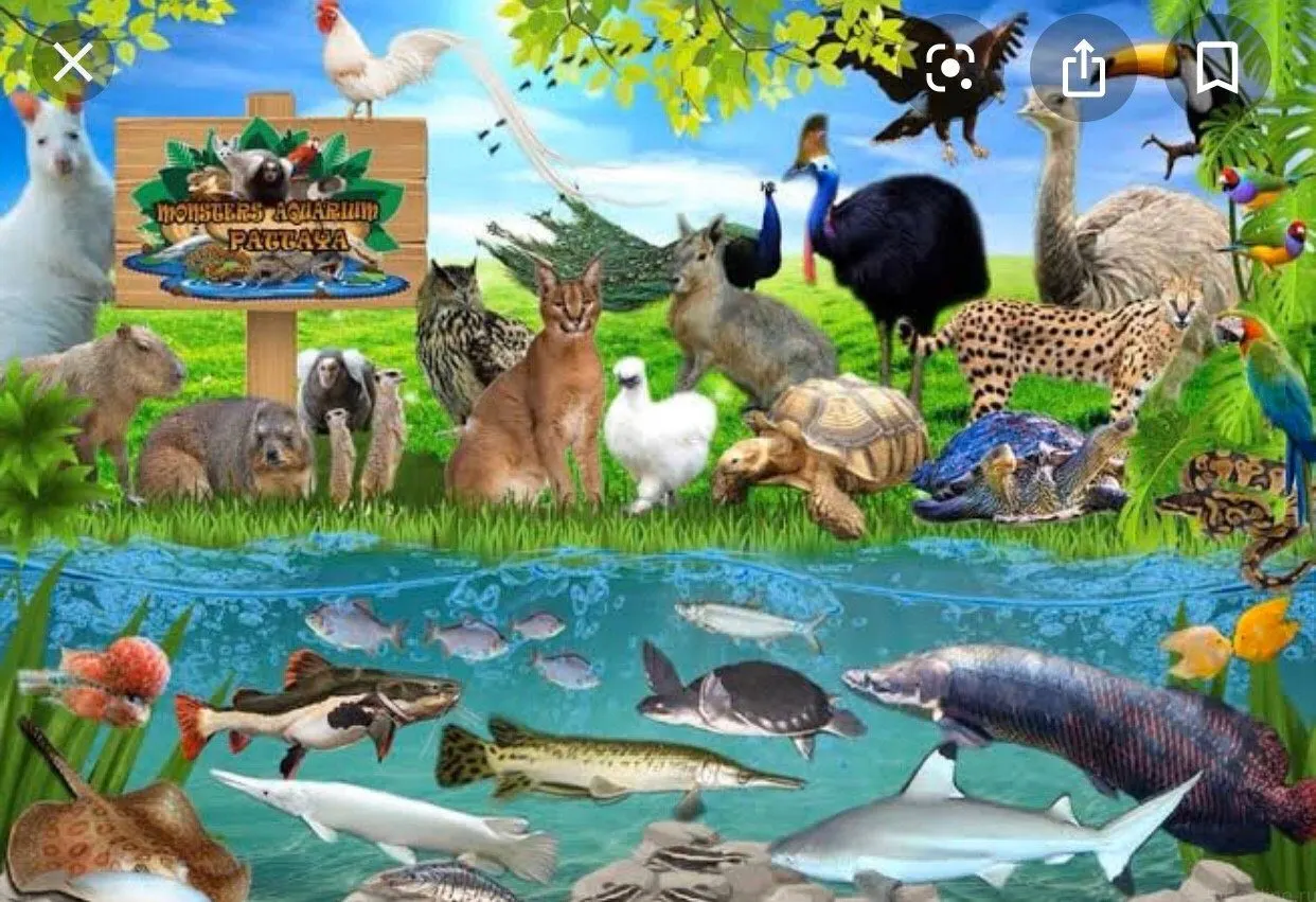 Monster Aquarium Pattaya Private Tour With Hotel Transfer