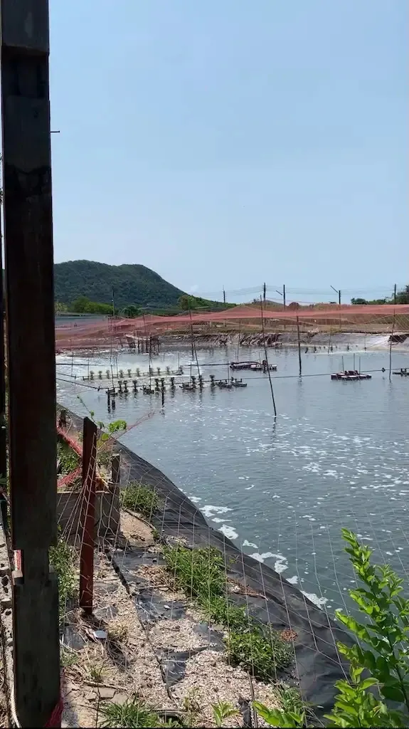 Chanthaburi Day Trip From Pattaya: Waterfall, Cathedral, Dolphins