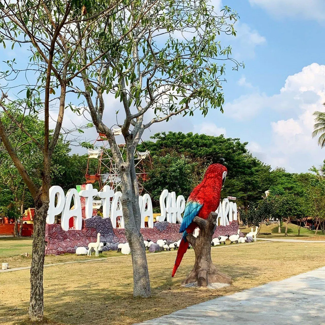 Pattaya hayvanlar dünyası turu: hayvanat bahçeleri ve akvaryum