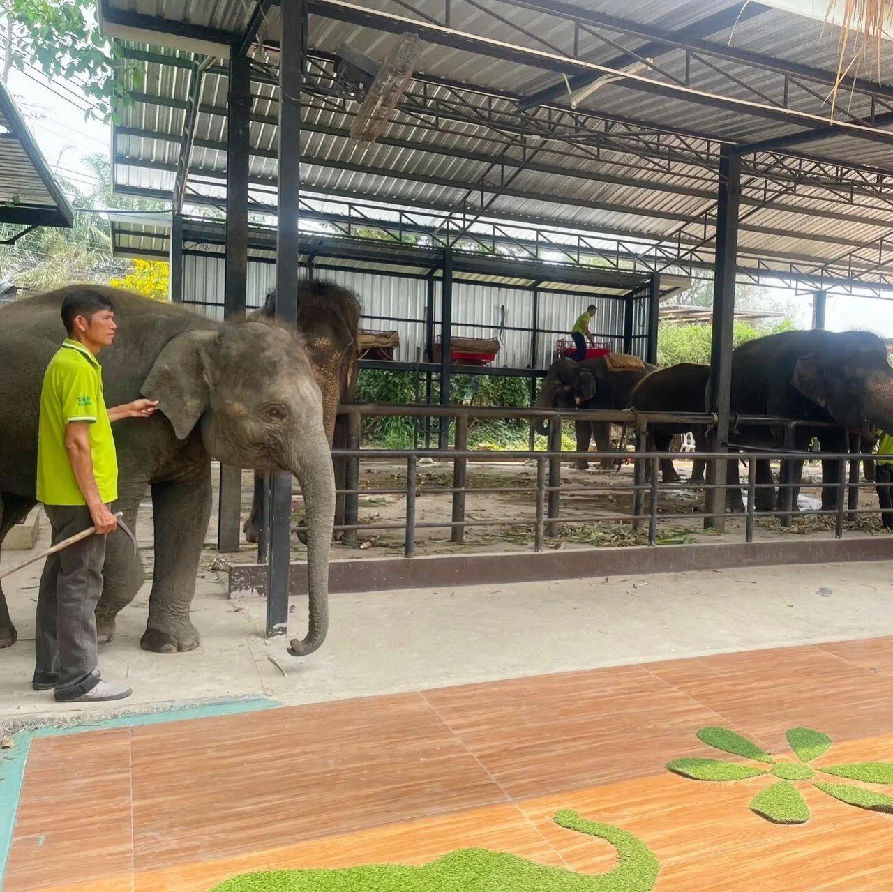Thai Safari From Pattaya: Khao Kheow Open Zoo and Siri Tiger Park