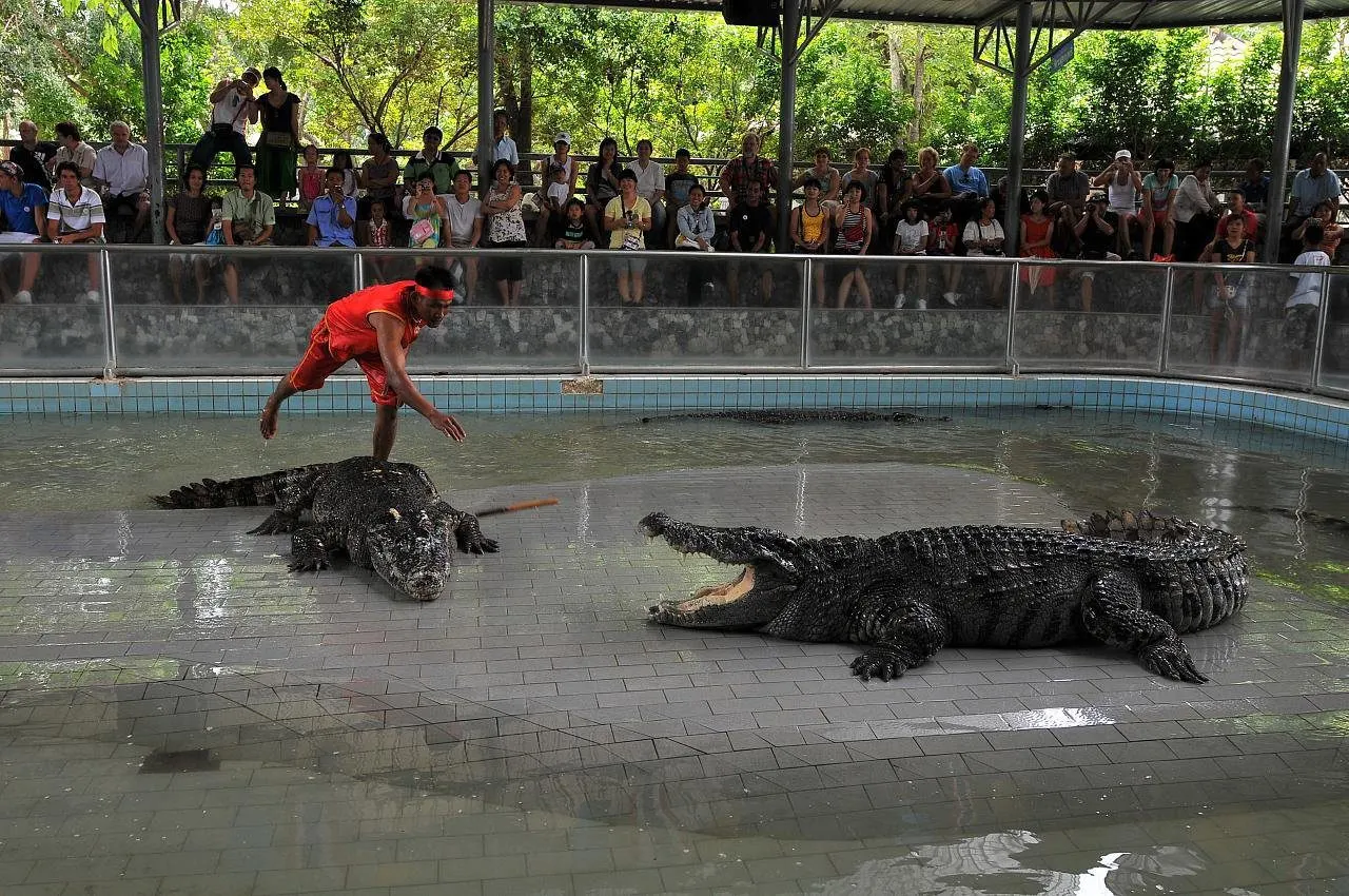 Pattaya timsah çiftliği ve Milyon Yıllık Taş Parkı turu