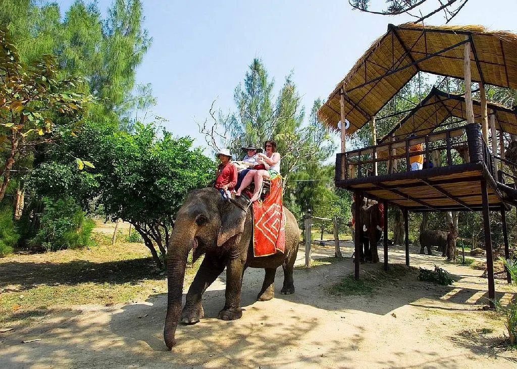 Pattaya Elephant Village Elephant Riding Tour