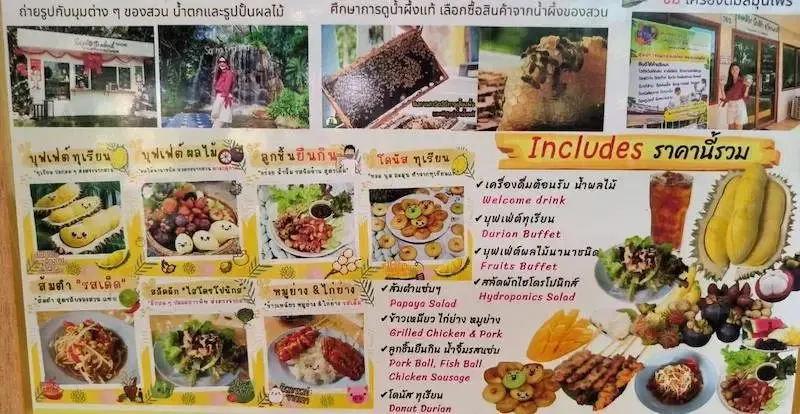 Pattaya'dan gastronomi turu: meyve, bal, şarap ve lale çiftliği