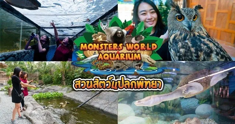 Monster Aquarium Pattaya Private Tour With Hotel Transfer