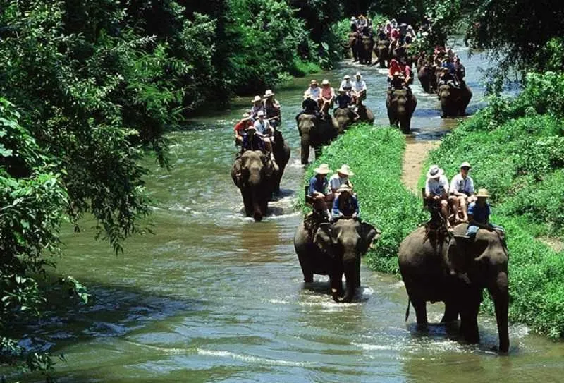 Pattaya Elephant Village Elephant Riding Tour