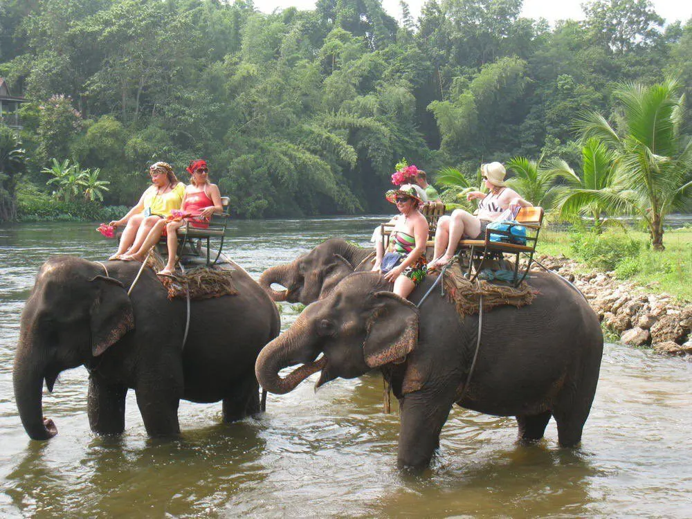 Pattaya Elephant Village Elephant Riding Tour