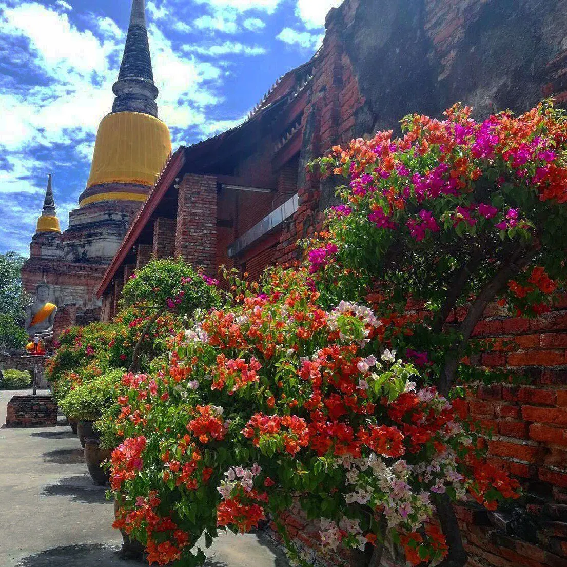 Pattaya'dan Ayutthaya antik başkent turu