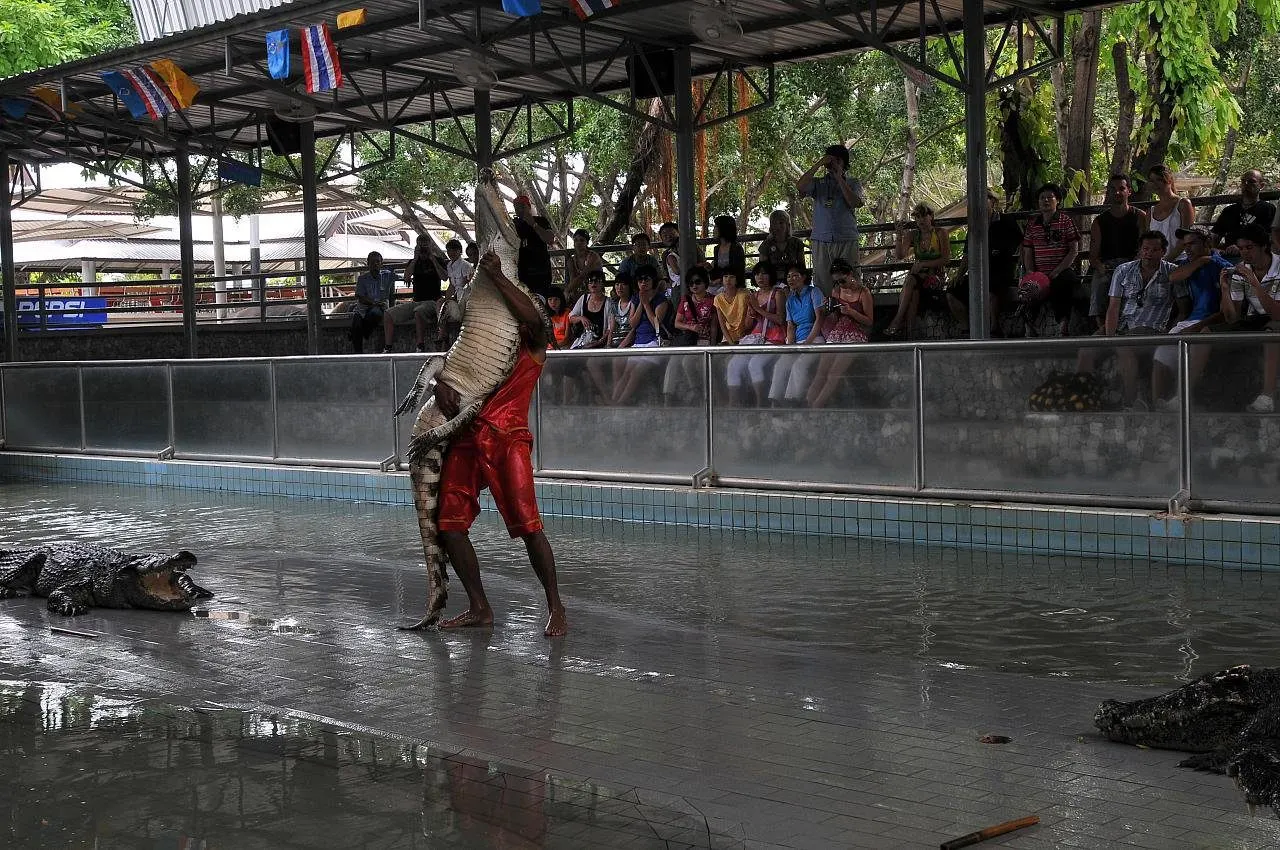 Pattaya timsah çiftliği ve Milyon Yıllık Taş Parkı turu