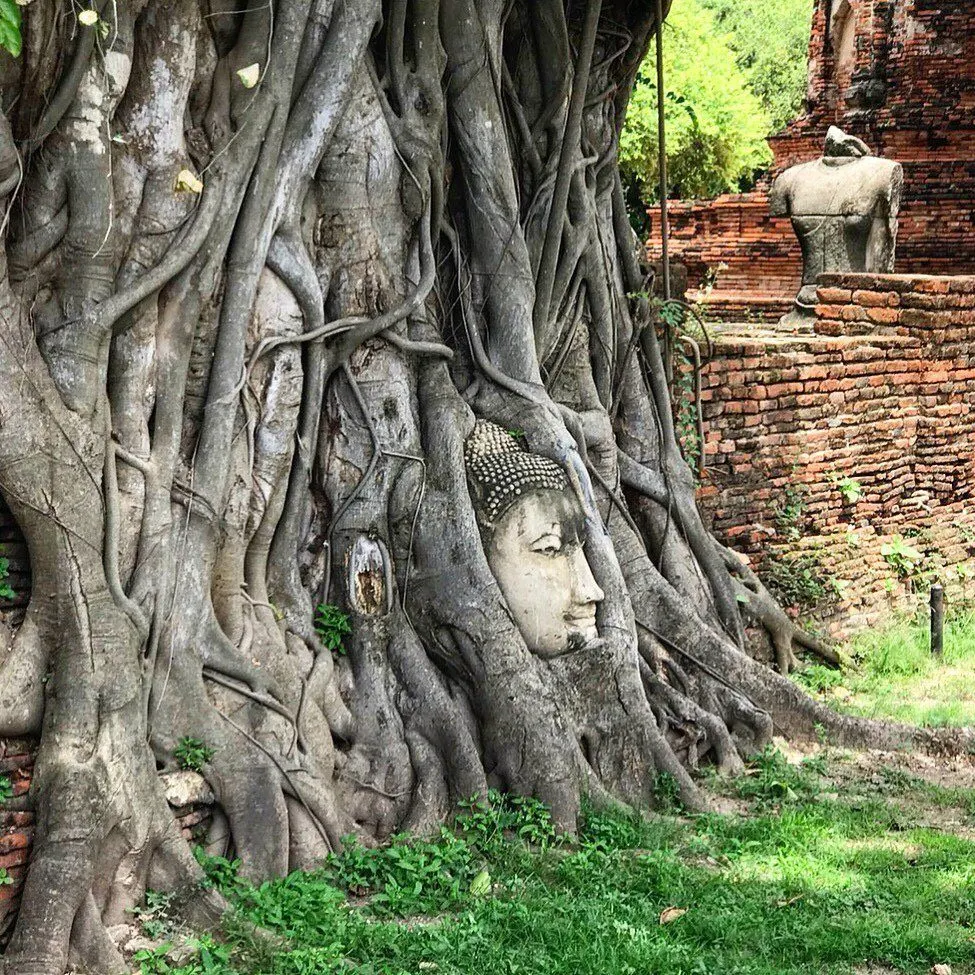 Pattaya'dan Ayutthaya antik başkent turu