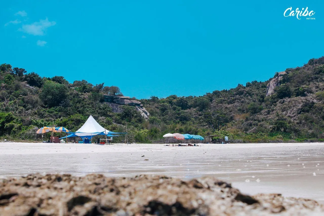 Pattaya'dan Koh Phai özel sürat teknesi turu: şnorkel ve balık