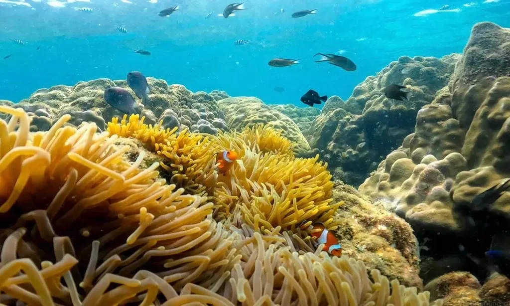 Pattaya'dan Samet dahil 9 ada sürat teknesi turu
