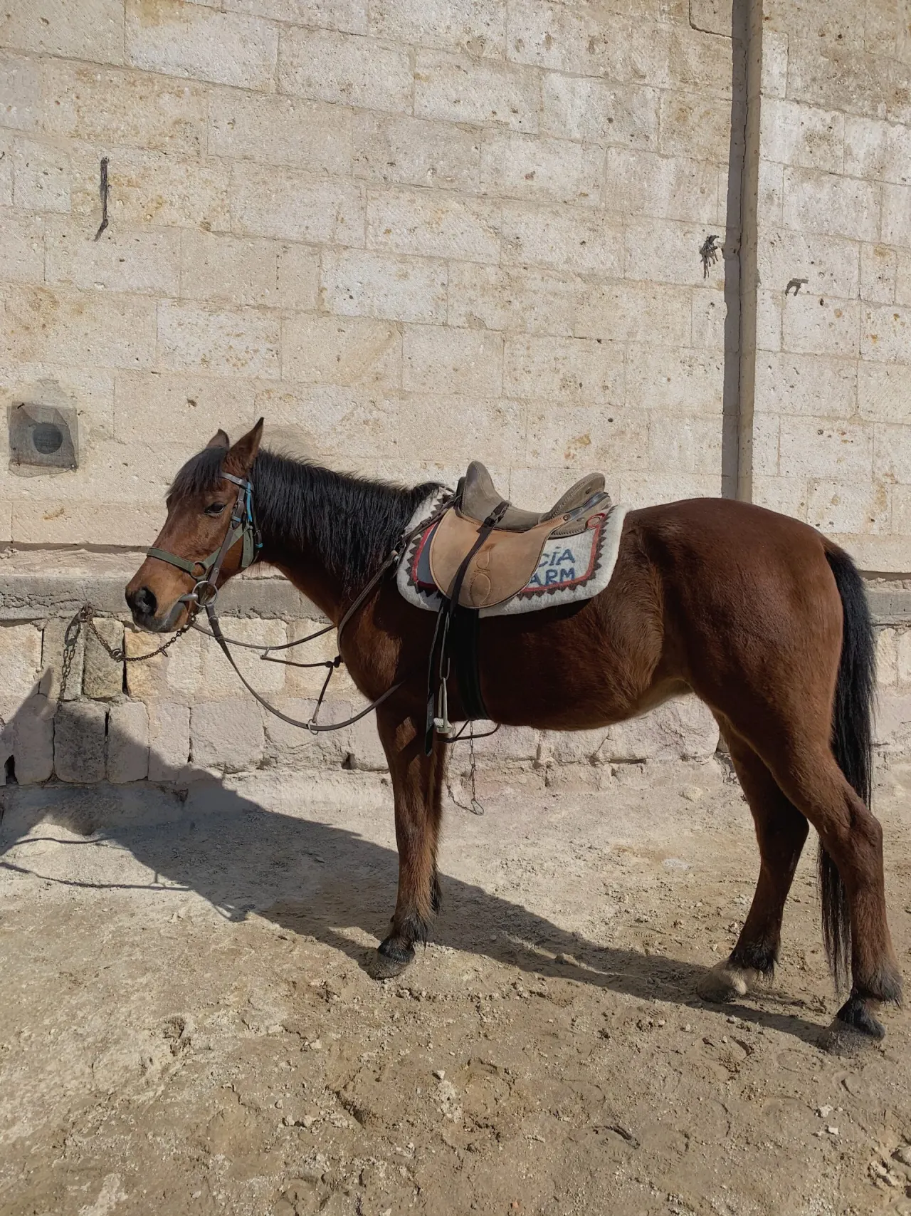 Marmari̇s at safari̇si̇