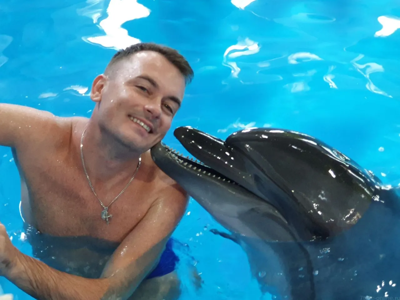 Pattaya Dolphinarium: Dolphin & Fur Seal Show with Transfer