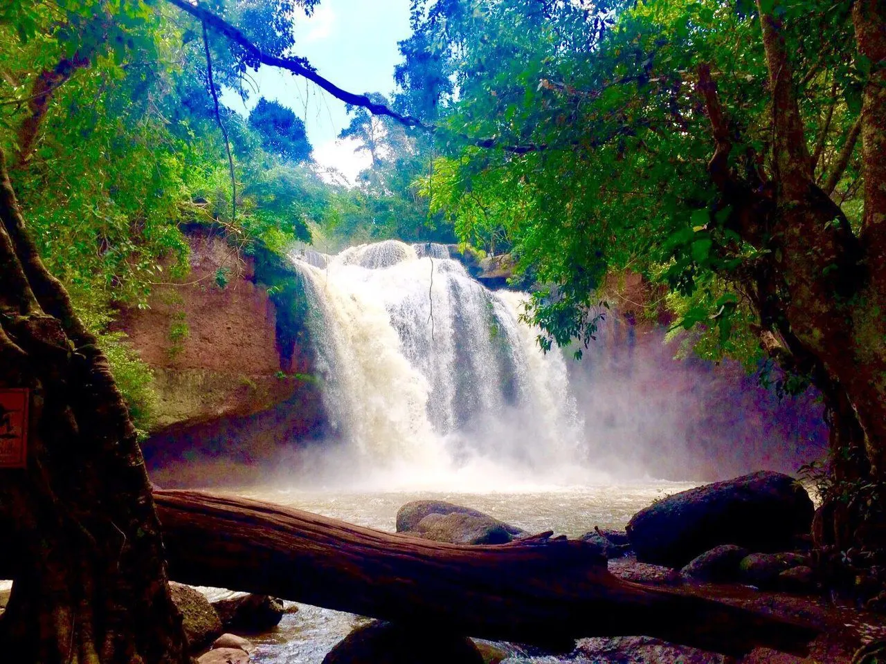 Khao Yai National Park Waterfalls Day Trip from Pattaya