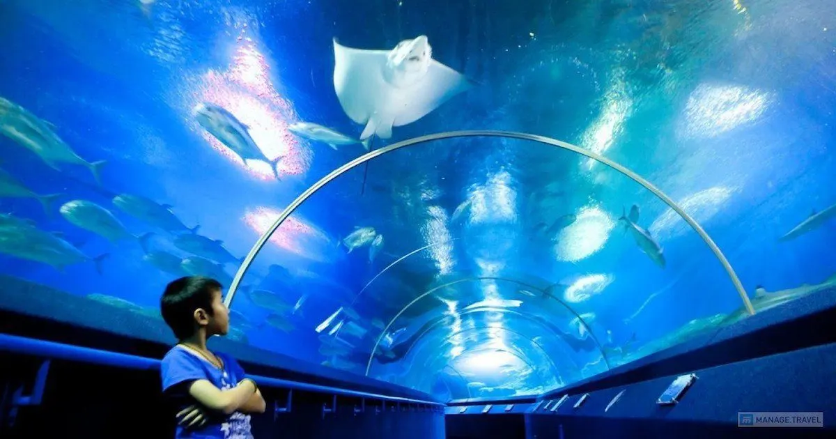 Underwater World Pattaya Aquarium Tour with Hotel Transfer