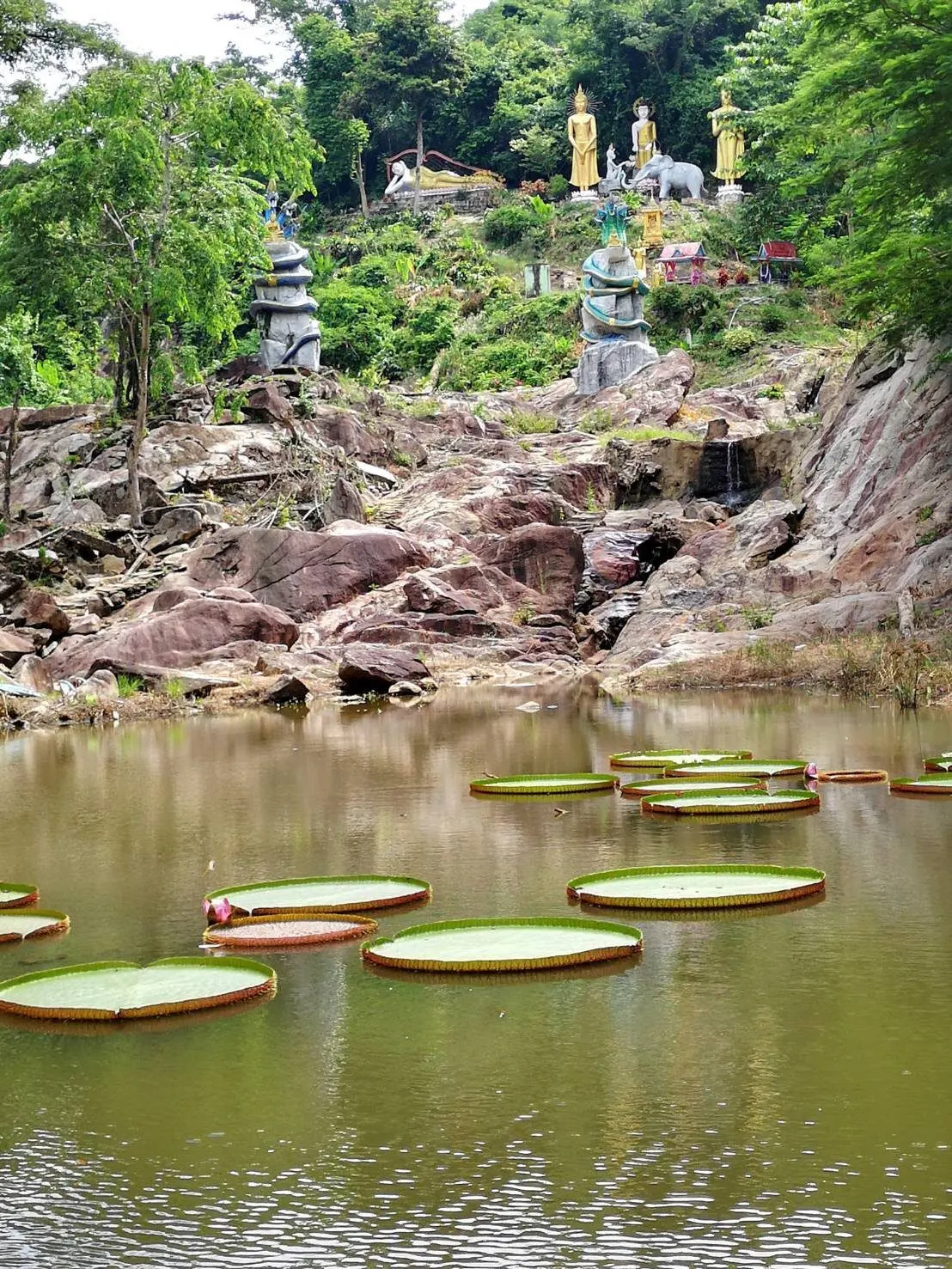 Pattaya'dan Ejderha İni turu: mağaralar ve orman manastırı