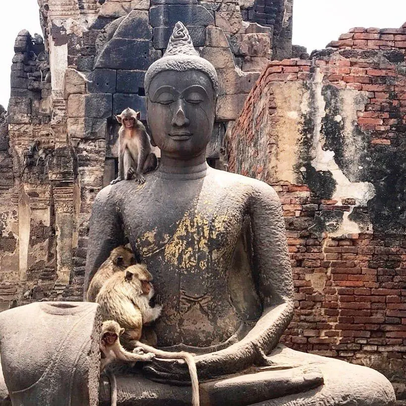 Lopburi Monkey City and Temples Day Trip from Pattaya