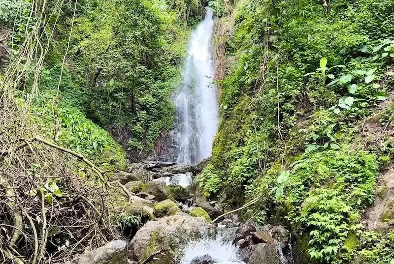 Khao Yai National Park Waterfalls Day Trip from Pattaya