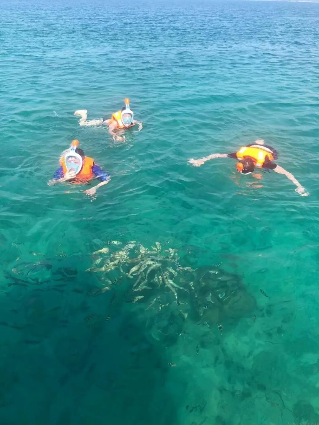 Pattaya Private Speedboat Island Charter