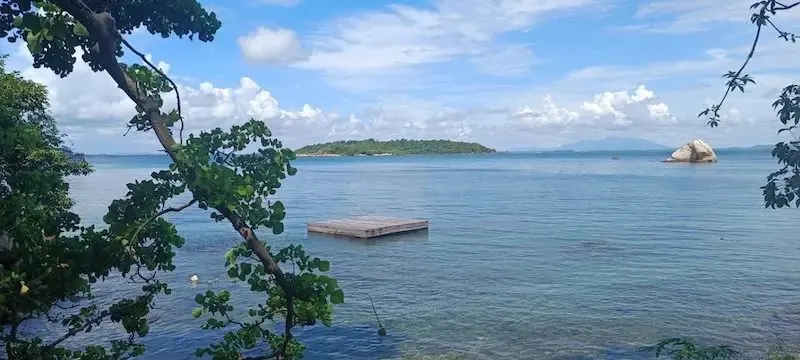 Secret Island Tour from Pattaya: Sea Turtles & Snorkeling