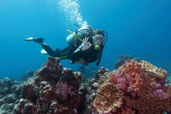 Diving in marmaris