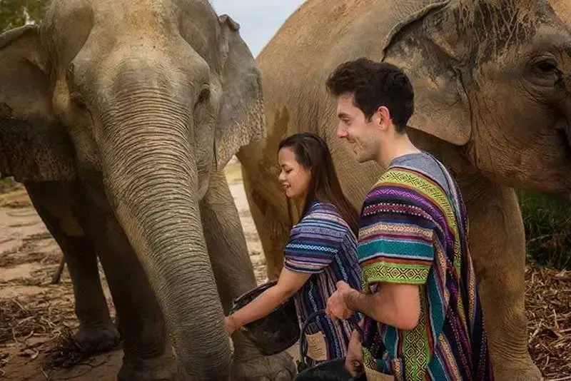 Pattaya Elephant Jungle Sanctuary Half-Day Tour With Mud Spa