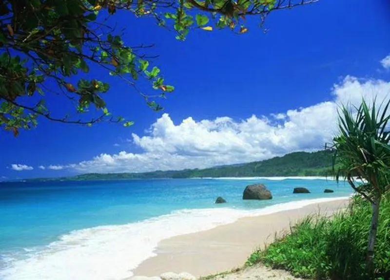 Pattaya'dan Ko Chang adası turu: 2 gün 1 gece