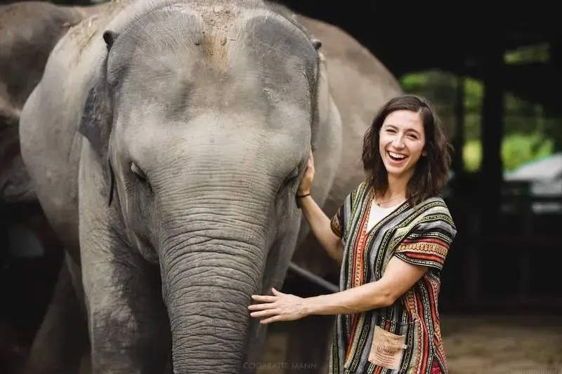 Pattaya Elephant Jungle Sanctuary Half-Day Tour With Mud Spa