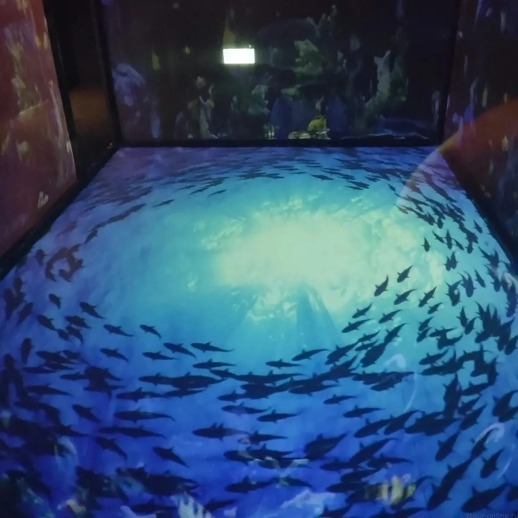 Space & Time Cube Pattaya: Immersive Digital Museum Ticket