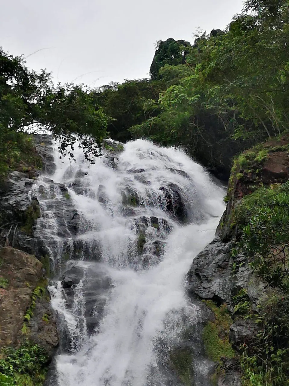 Amazing Thailand Day Trip from Pattaya: Khao Yai Rafting & Temples