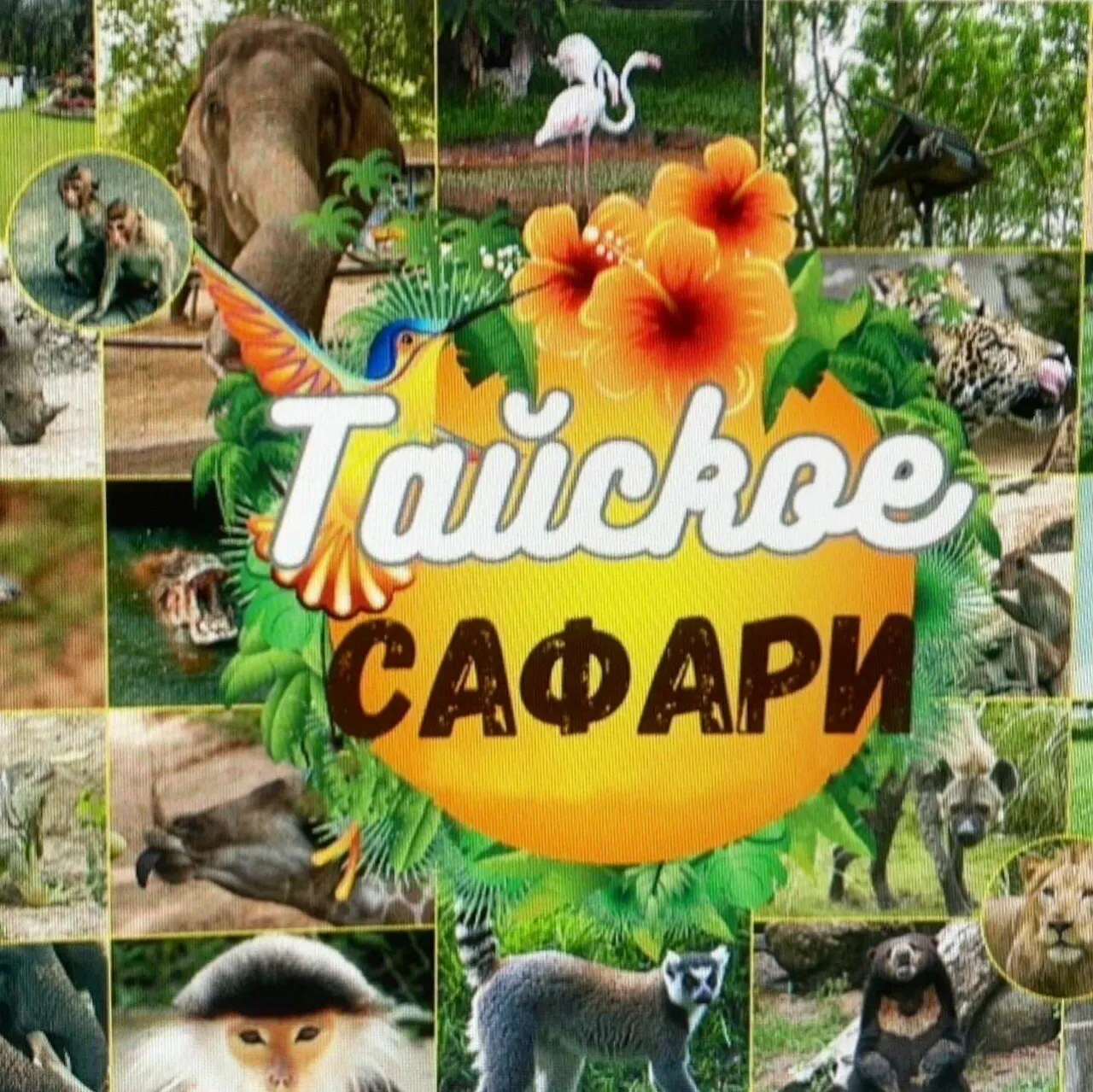 Thai Safari From Pattaya: Khao Kheow Open Zoo and Siri Tiger Park