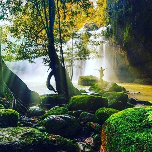 Khao Yai National Park Waterfalls Day Trip from Pattaya