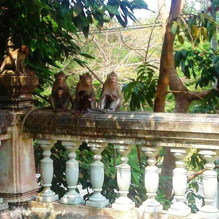 Pattaya'dan Wat Yan tapınak kompleksi ve Karen köyü turu
