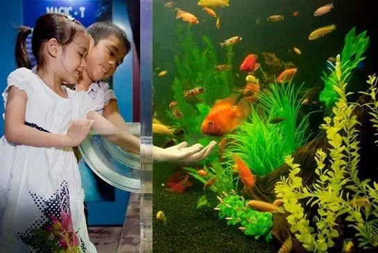 Underwater World Pattaya Aquarium Tour with Hotel Transfer