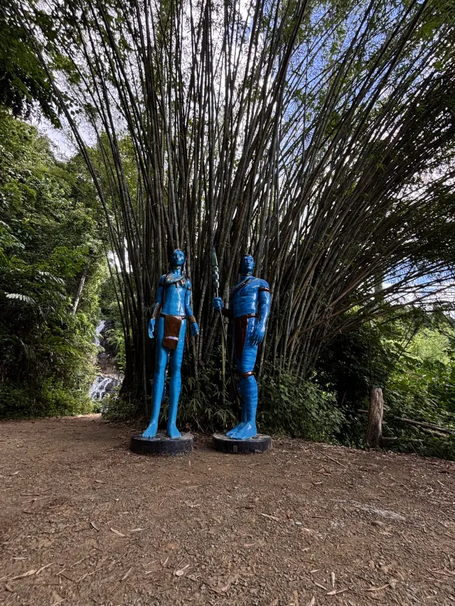Phuket'ten Avatar turu: orman, filler ve sıcak su kaynakları thumbnail