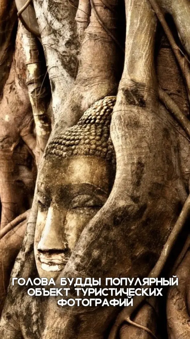 Ayutthaya to Bangkok River Cruise Day Trip from Pattaya thumbnail
