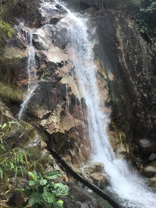 Pattaya'dan Khao Khitchakut kutsal dağına tırmanış thumbnail