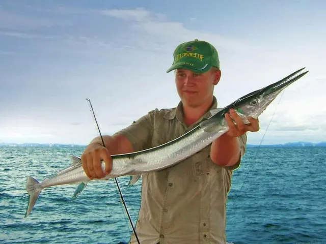 Pattaya Garfish Fishing Trip by Speedboat thumbnail