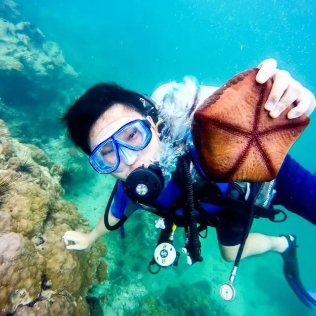 Scuba Diving in Pattaya for Beginners and Certified Divers thumbnail