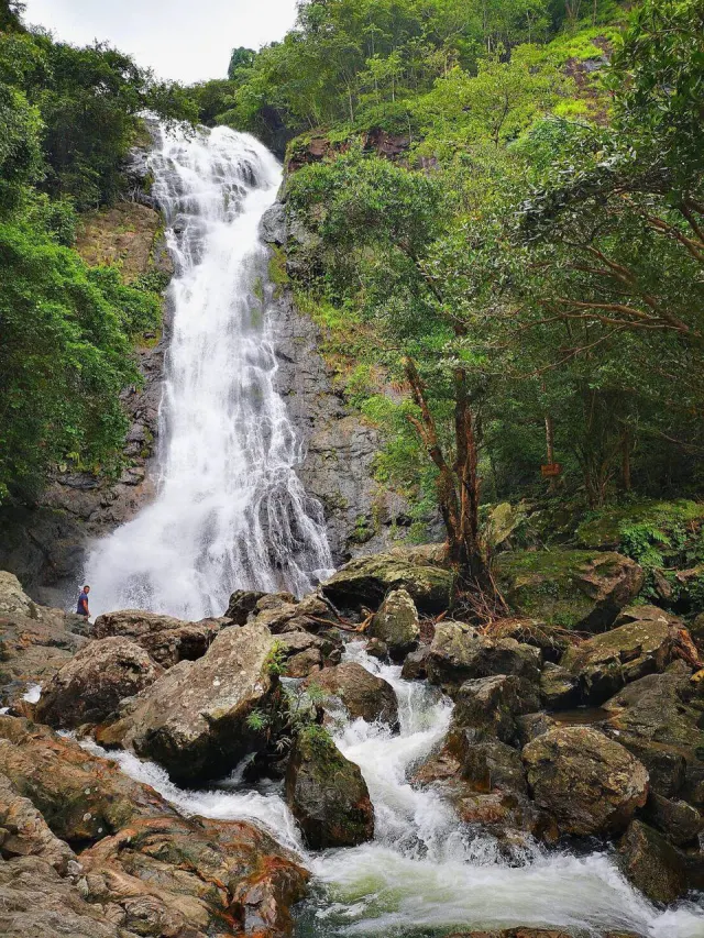 Amazing Thailand Day Trip from Pattaya: Khao Yai Rafting & Temples thumbnail
